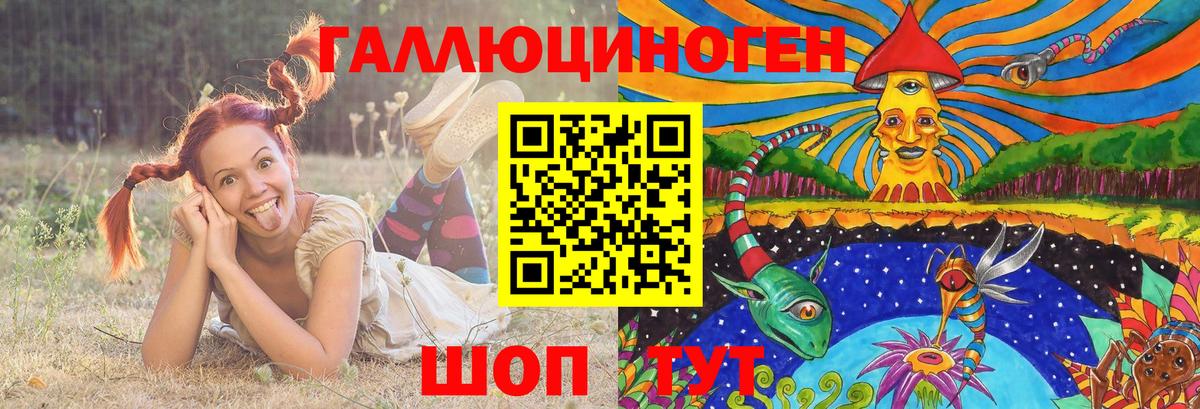Галлюциногенные грибы Cubensis Сальск