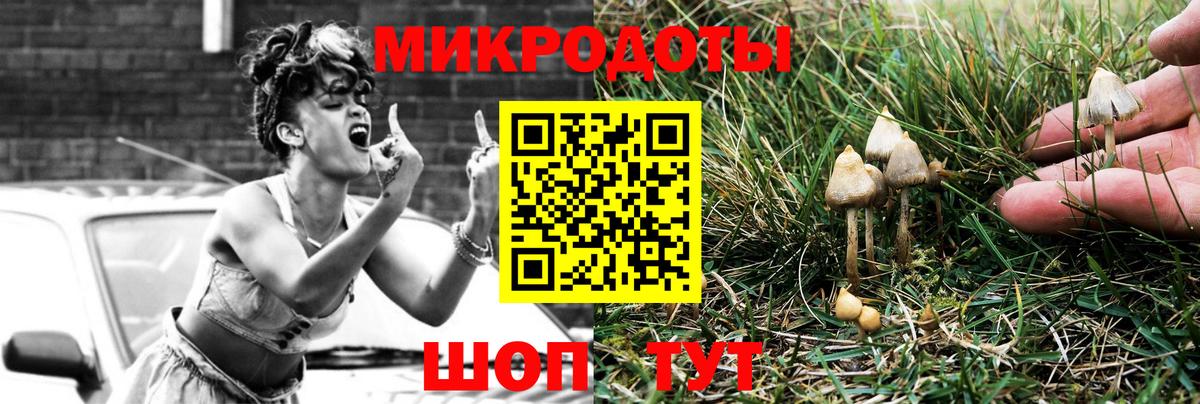 Галлюциногенные грибы MAGIC MUSHROOMS  Вход с VPN  Галлюциногенные грибы ЛСД  Сальск 